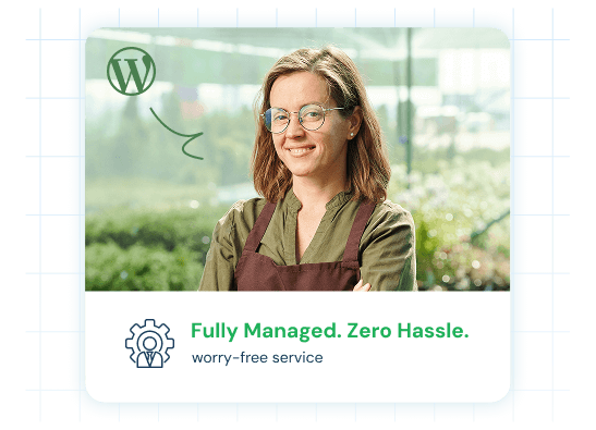 WordPress Launch Platform | MilesWeb UK