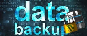 BackUp-Your-Website Data