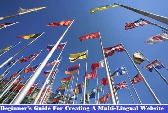 website, multi-lingual website, web hosting