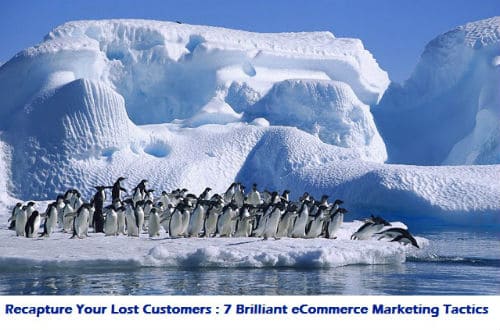 eCommerce, customers, online store