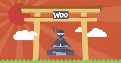 woocommerce, eoocommerce cms, ecommerce