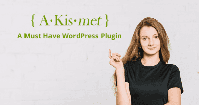 Akismet plugin for WordPress