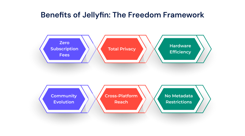 benefits-of-jellyfin-software-media-system