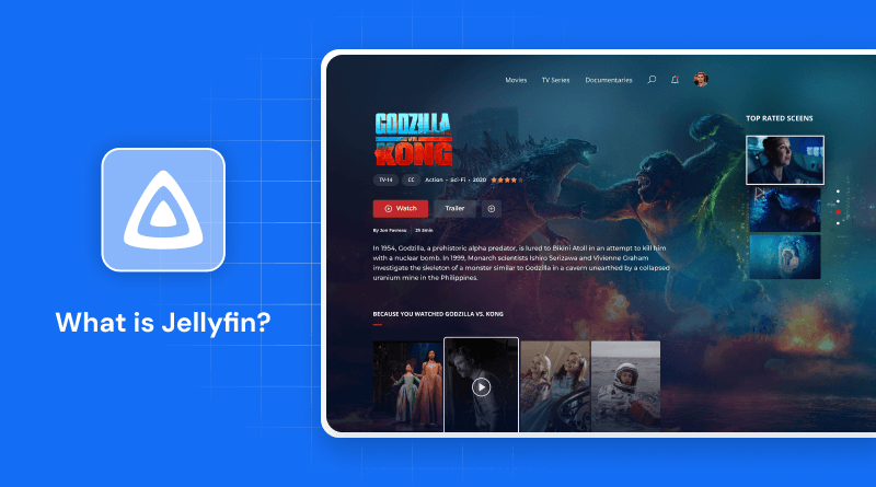 what-is-jellyfin-software-media-system