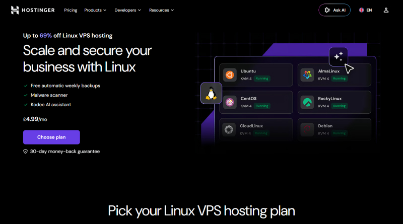 hostinger-linux-hosting