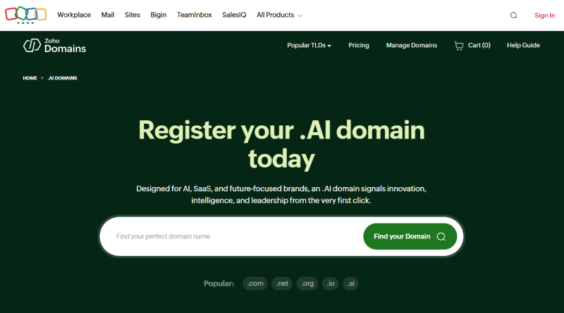 zoho-ai-domain-name-provider