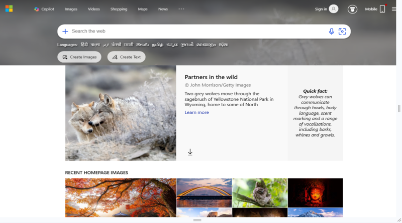 microsoft-bing