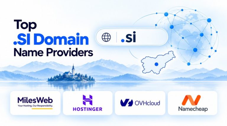 top-si-domain-name-providers