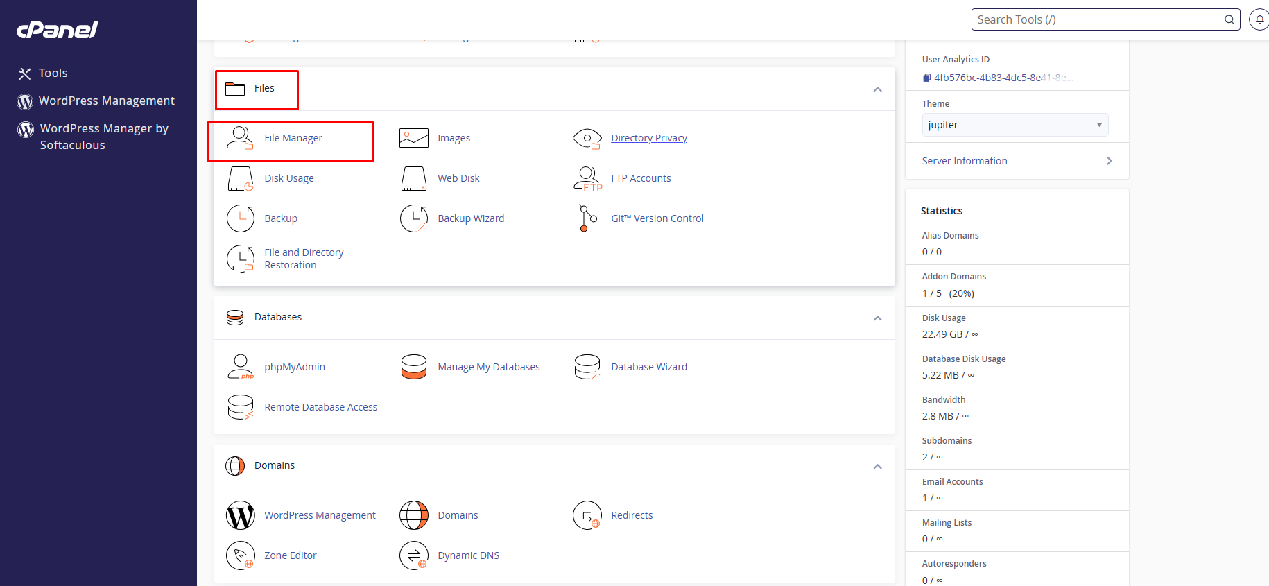 Click File Manager on the cPanel dashboard