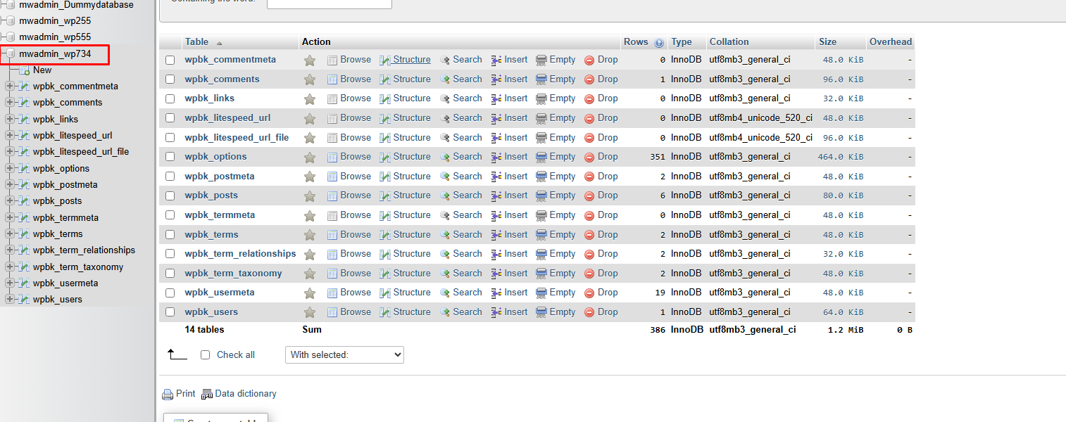 select the database of your WordPress website