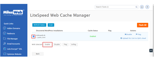 web cache enable