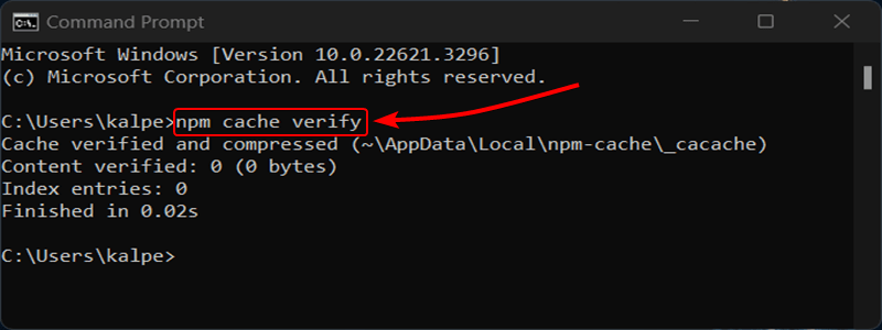 npm cache verify