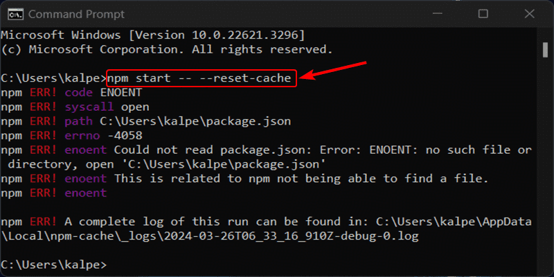 npm start script