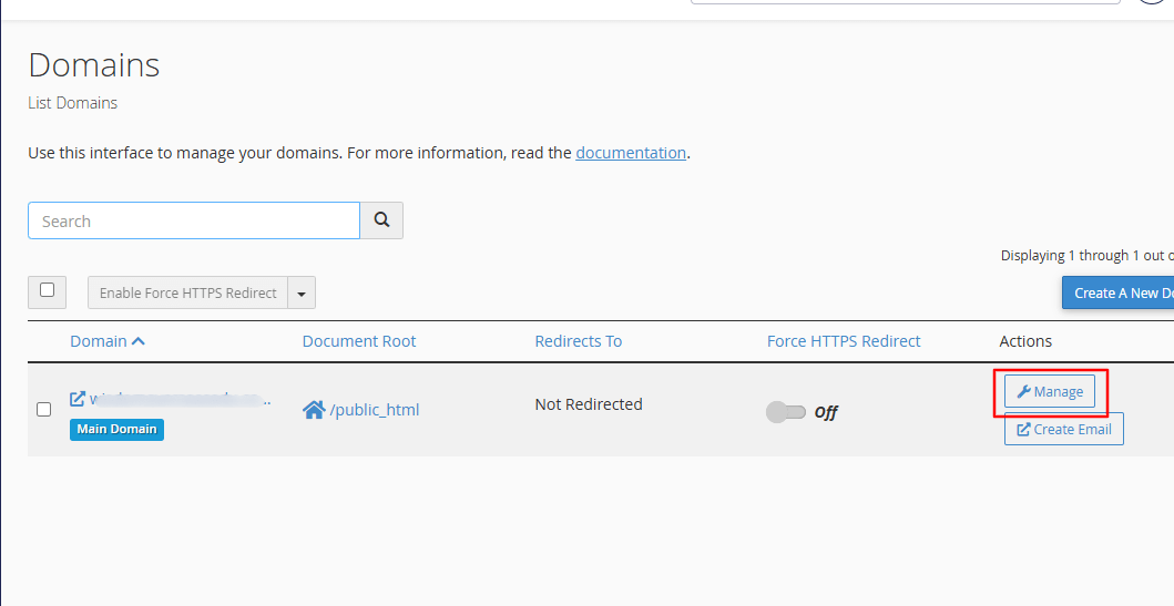 Open DNS Management