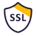 Domain SSL | MilesWeb UK