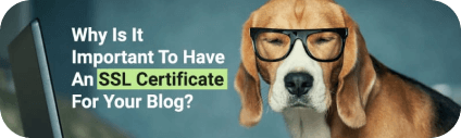 Why Is It Important To Have An SSL Certificate For Your Blog? | MilesWeb UK